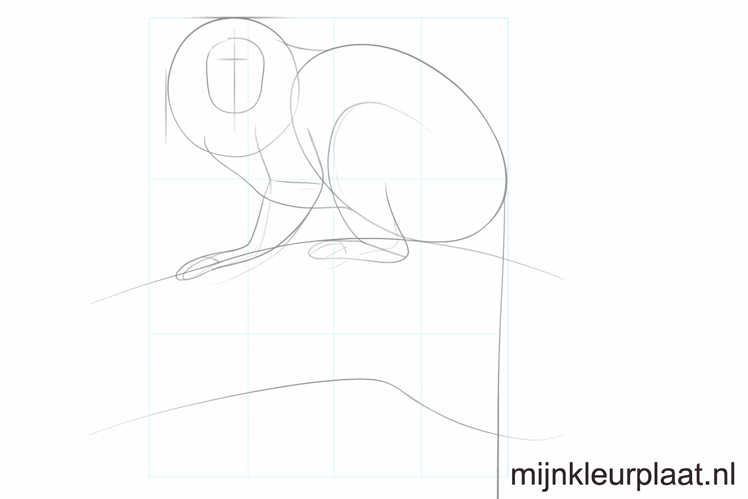 Schets van de dikke pootjes en de basis van het gezicht.