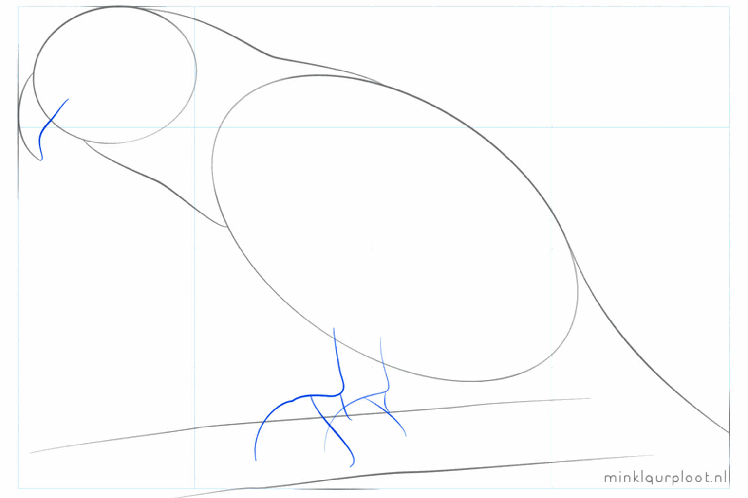 A long guide line for the parrot's tail.