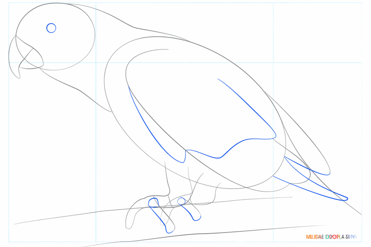 The shape of the wing and the first lines for the bird's legs.