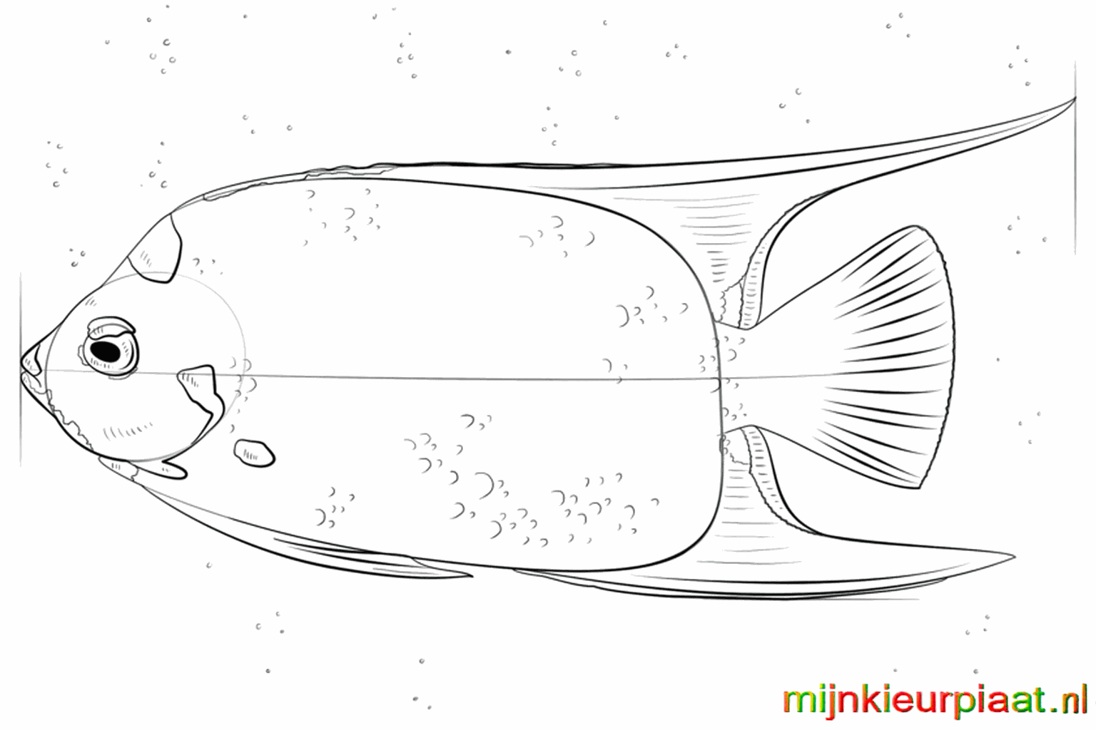 Stap 7: Voeg details en strepen toe aan de vinnen en het lijf.