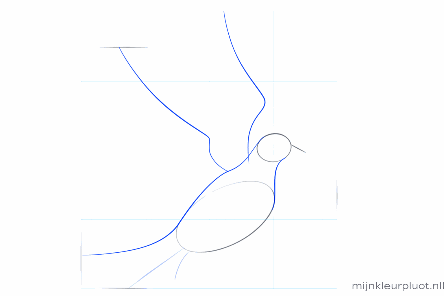 The dove's neck drawn between the head and the body.