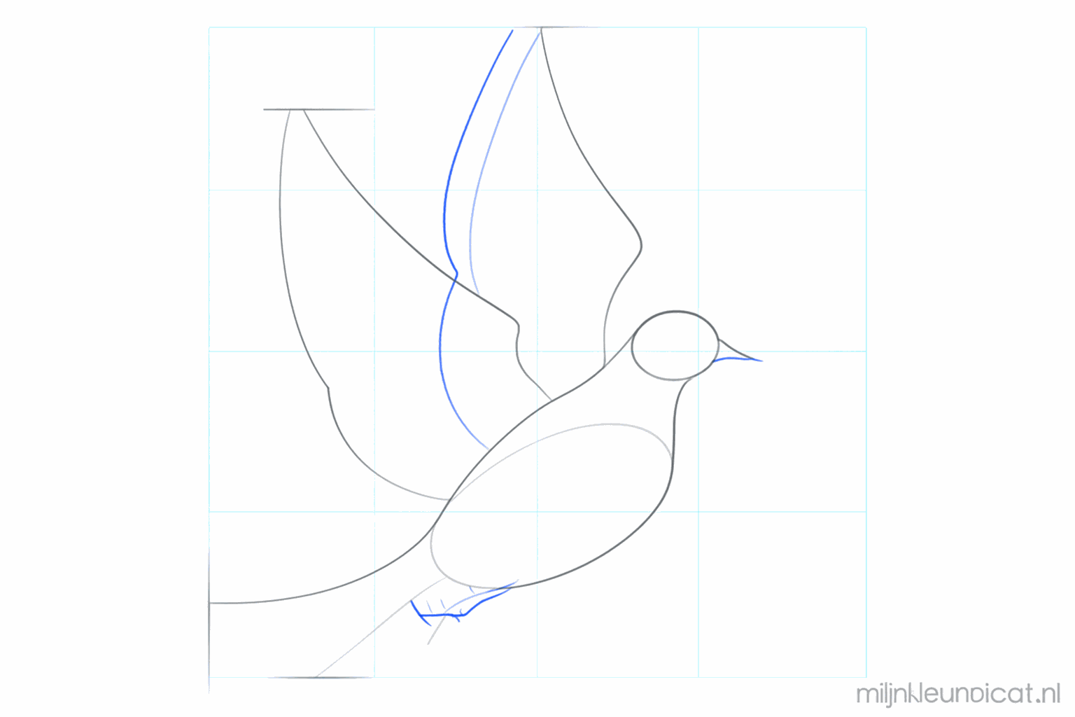 Guide lines for the wing and the tail of the dove.