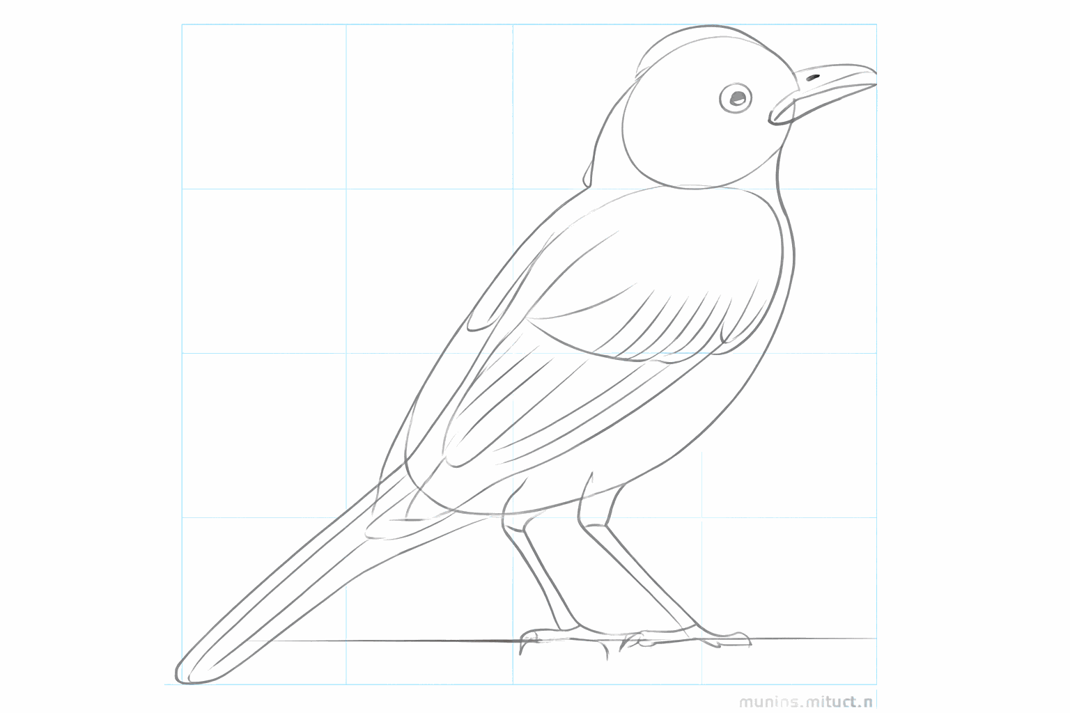 Detail drawing of a bird with an eye and legs with small toes.