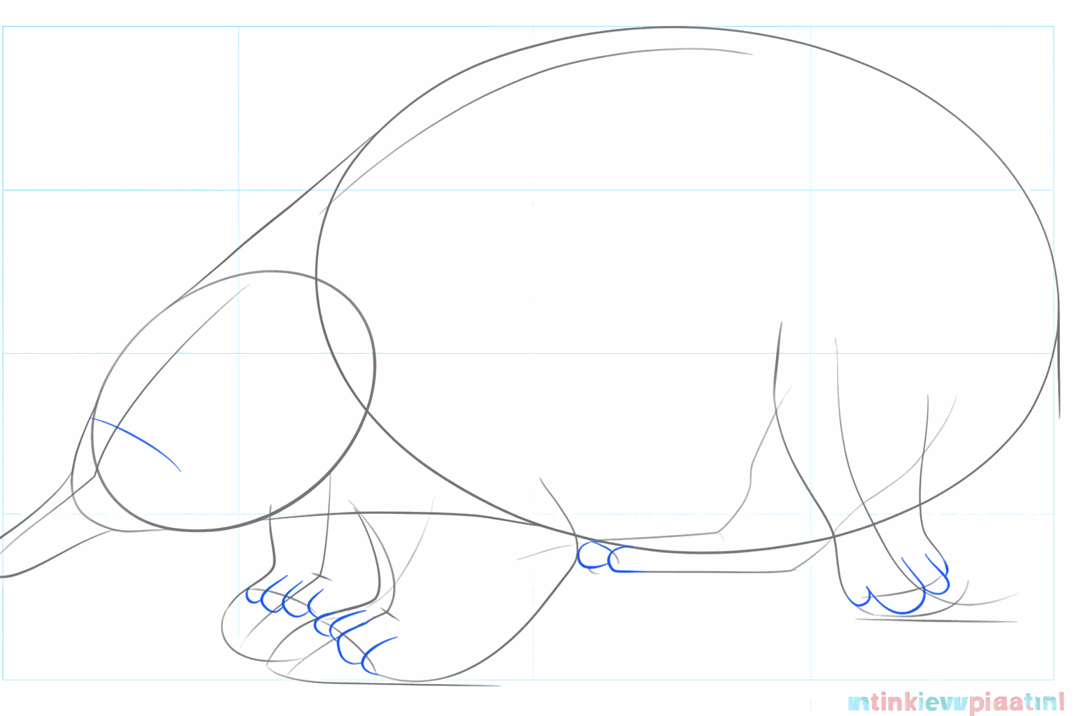 Kleine teentjes tekenen aan de poten van de mierenegel.