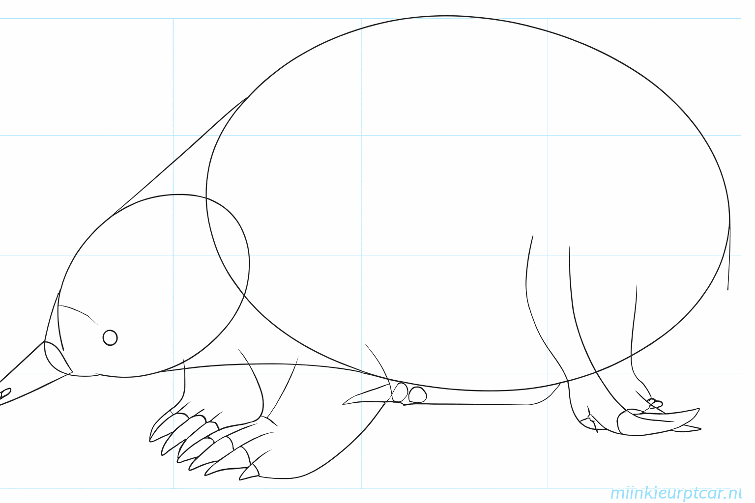 Een oogje en een ronde neus tekenen op de kop van de mierenegel.