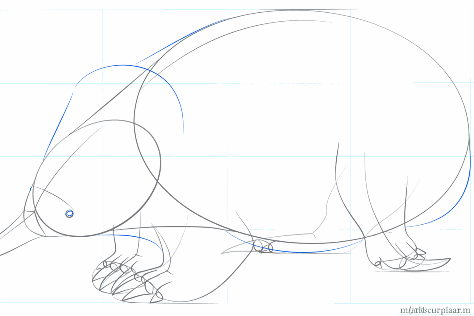 Nagels tekenen aan de poten en details toevoegen aan het oog.