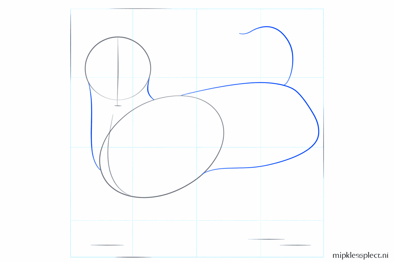 De kop en het lijf zijn verbonden met een nek en er is een lijn voor de staart getekend.