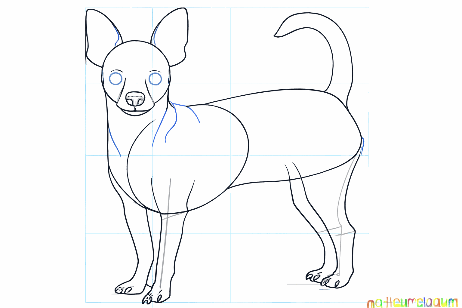 Details zoals teentjes, een neus en een dikkere staart toegevoegd aan de tekening.