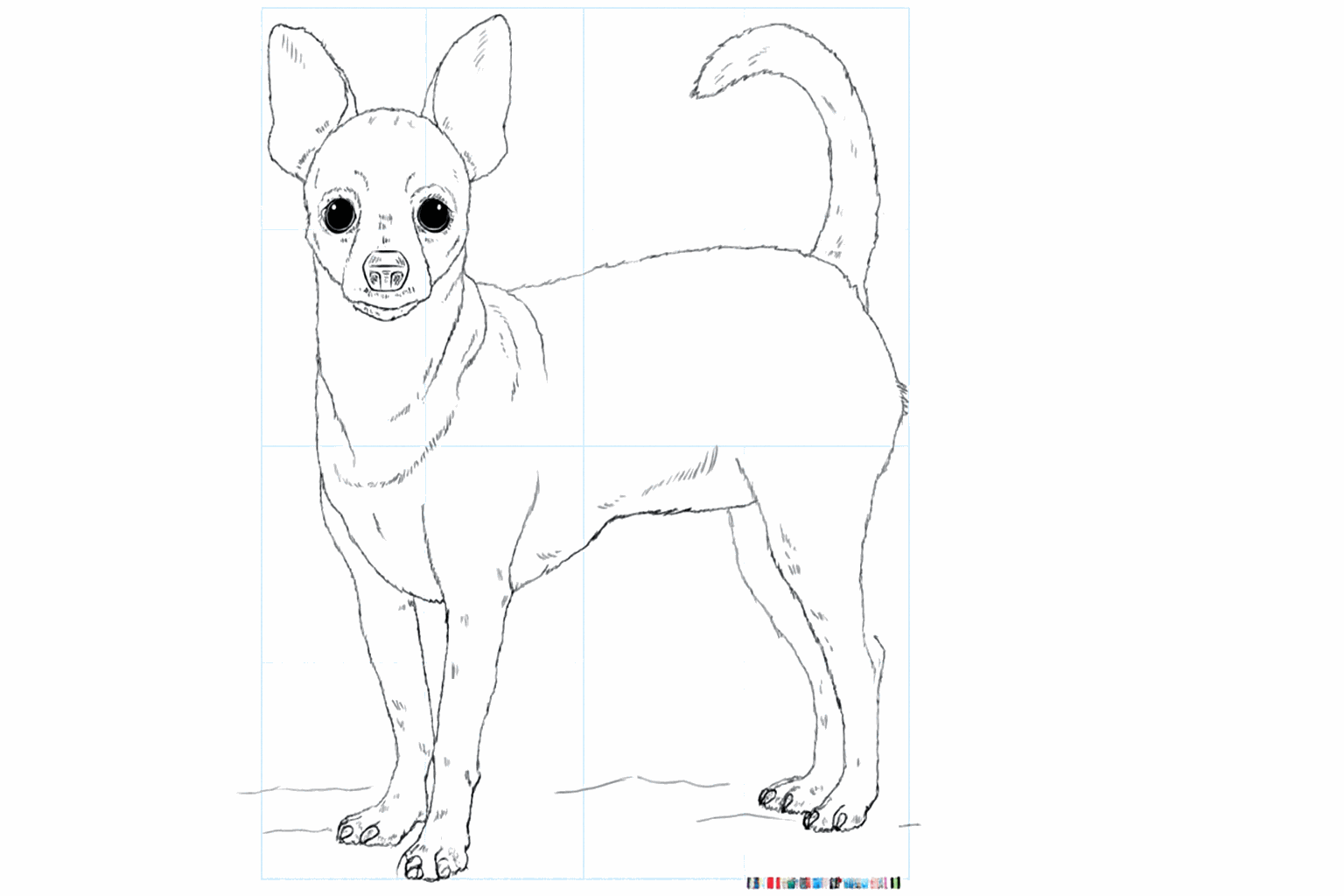 De afgemaakte tekening van een chihuahua zonder hulplijnen.