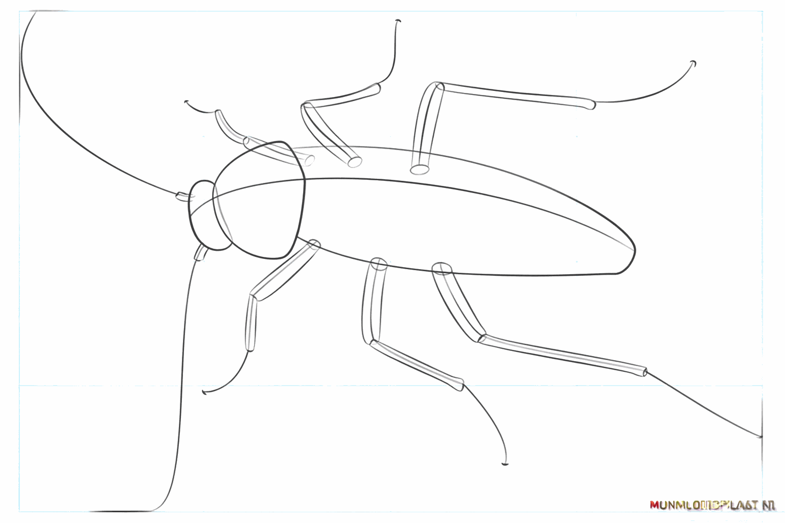 Hulplijnen voor de zes poten en de twee lange voelsprieten.