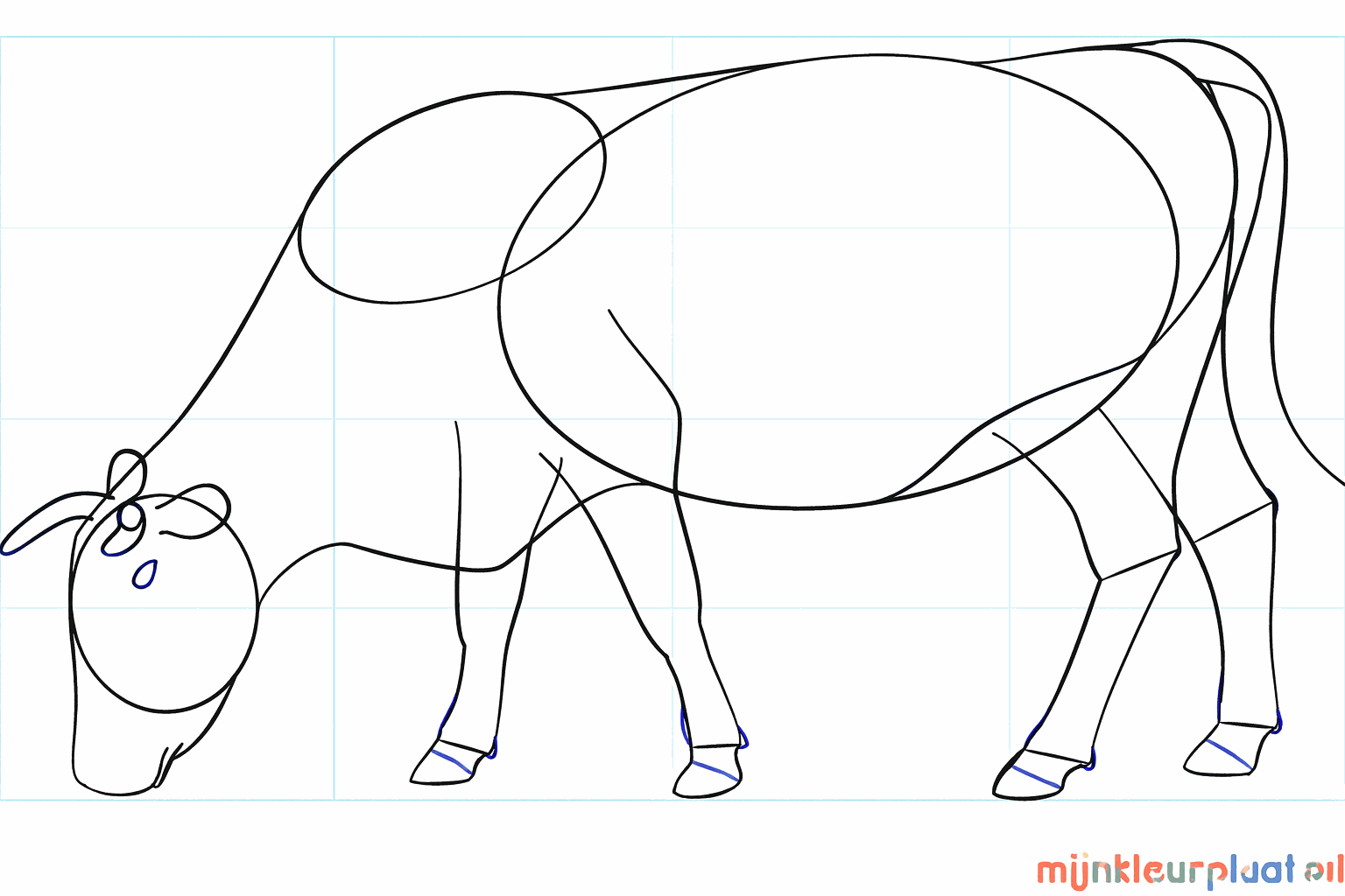 Details van de hoeven en de hoorns van de koe.