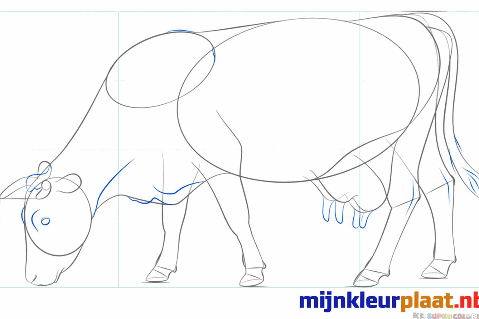 Het gezicht van de koe met ogen en neusgaten.