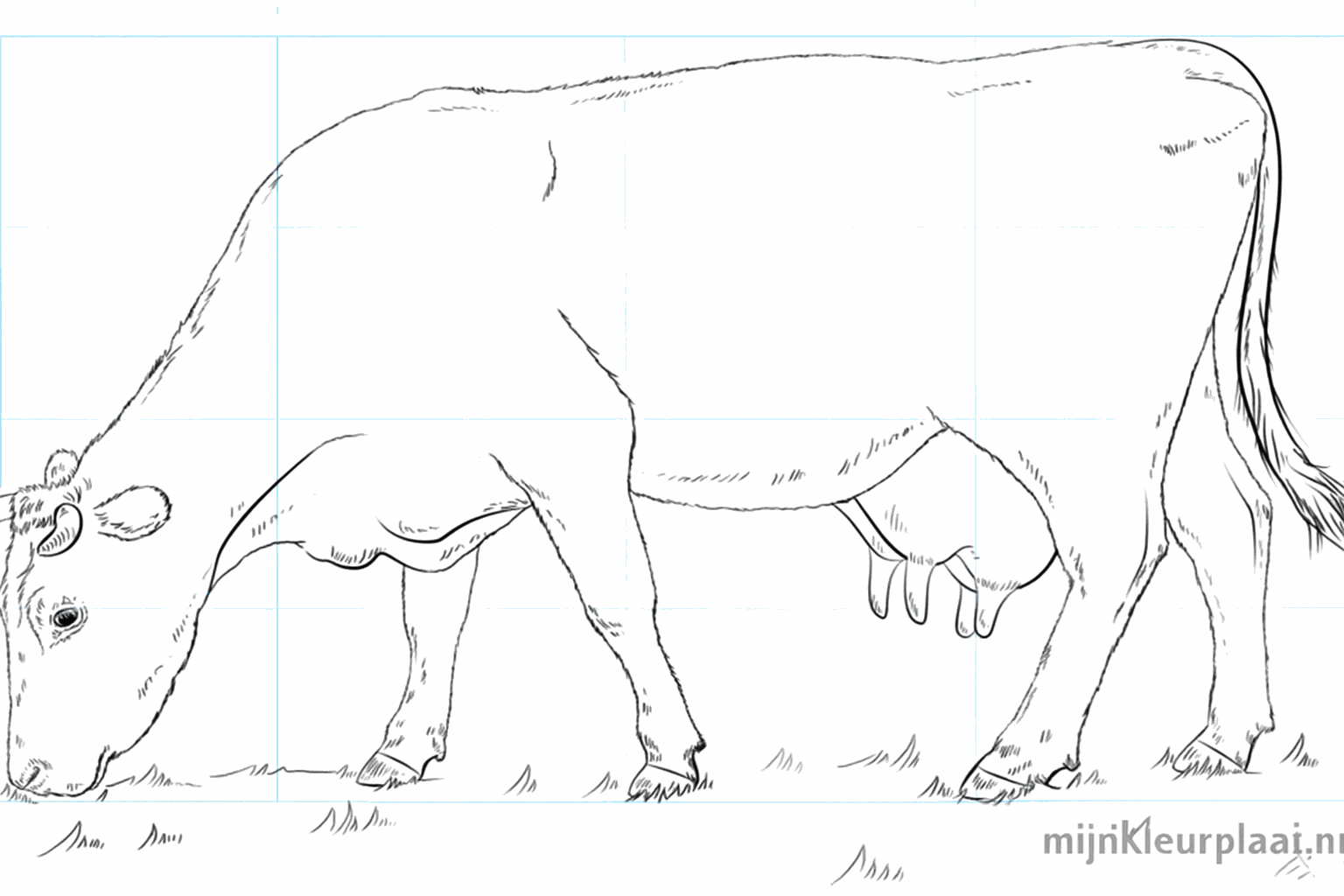 De voltooide koe tekening met gras op de grond zonder hulplijnen.