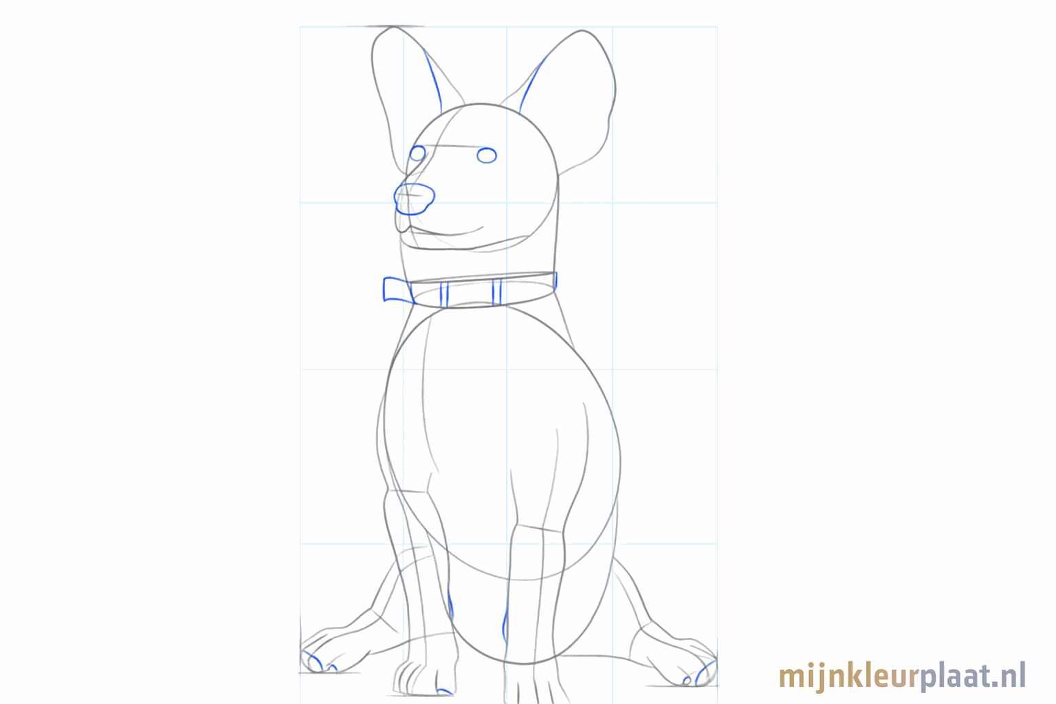 Details van de hondenpootjes met tenen en de vorm van de bek.