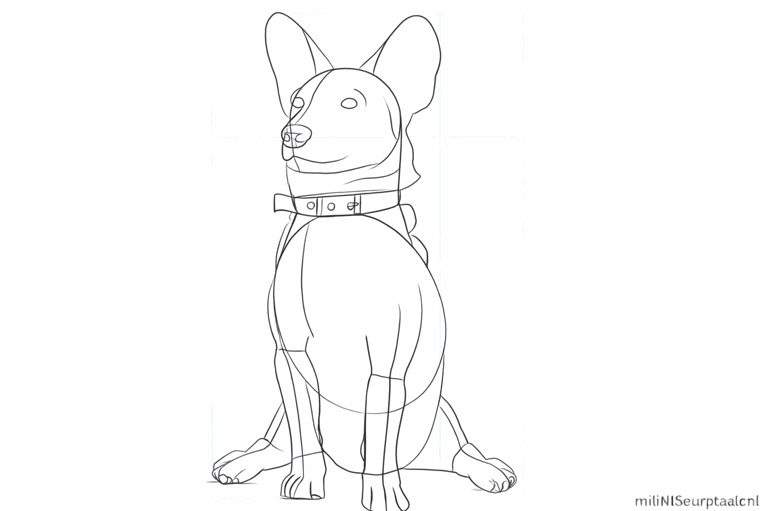 Glimmende oogjes en details binnenin de grote hondenoren.