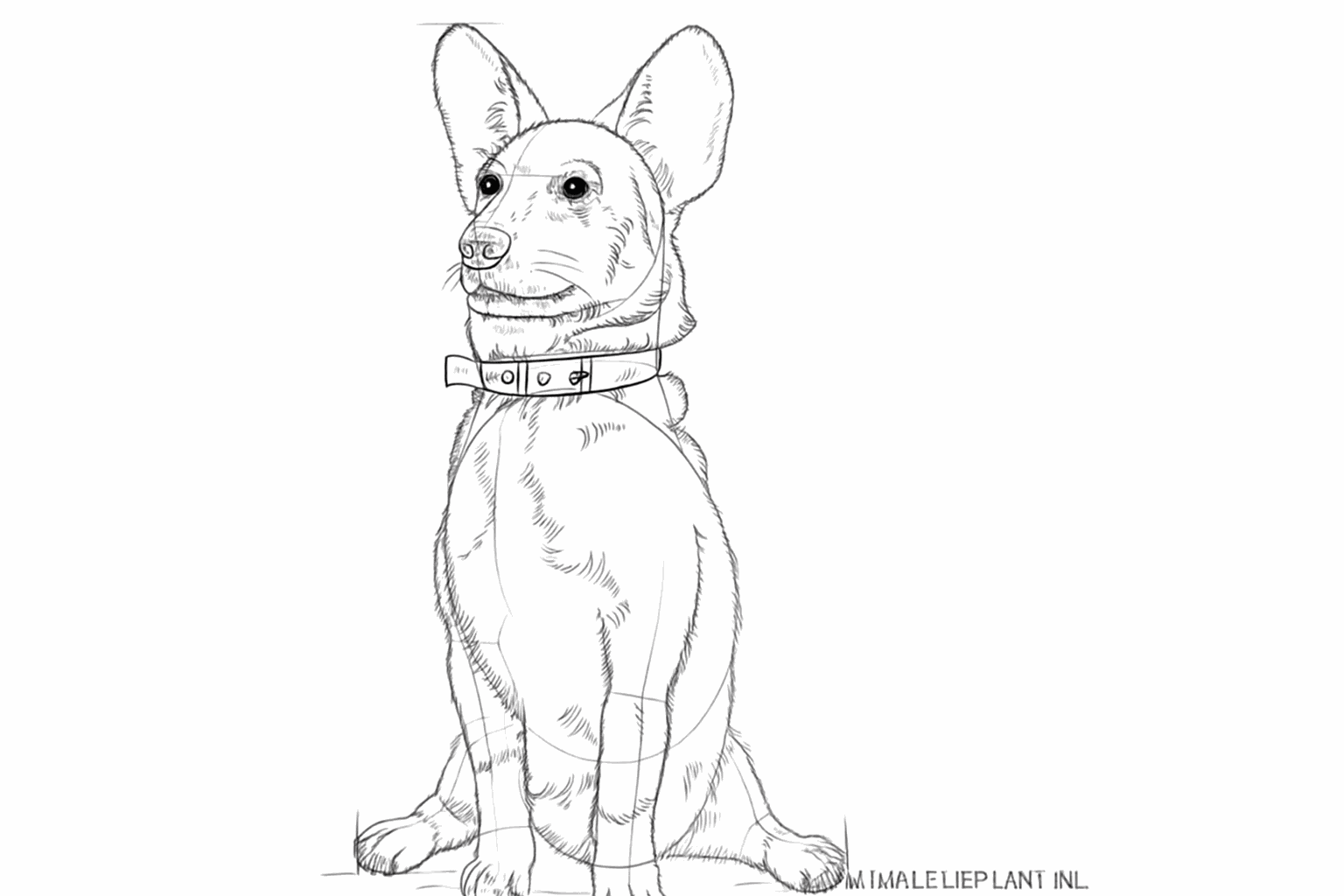 Een neusje op de snuit en kleine streepjes die lijken op zachte hondenvacht.