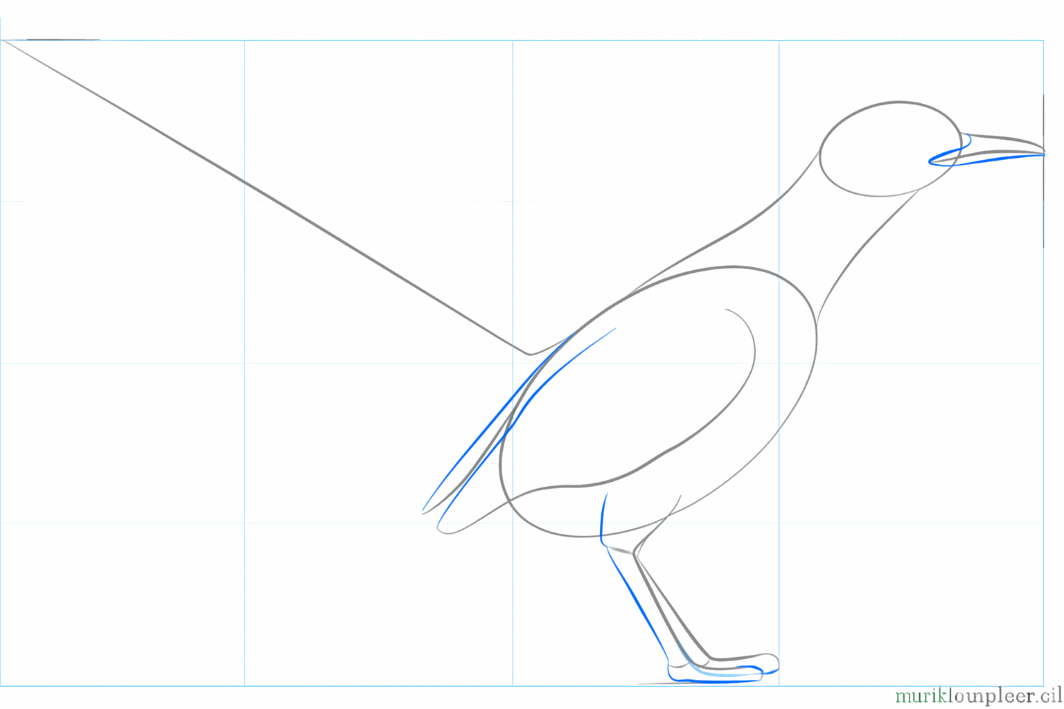 Lines for the legs and the first shape of the wing.
