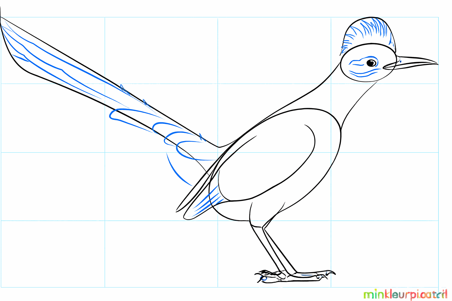 Details such as the eye, the crest on the head, and a thicker tail.