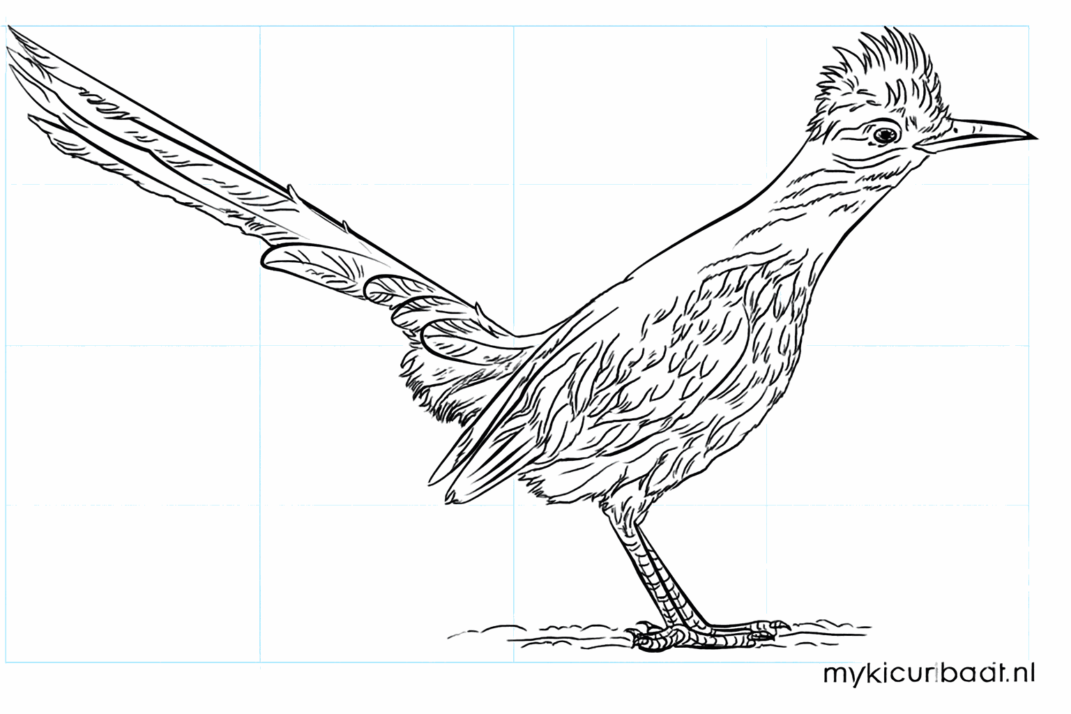Drawing a super-fast roadrunner