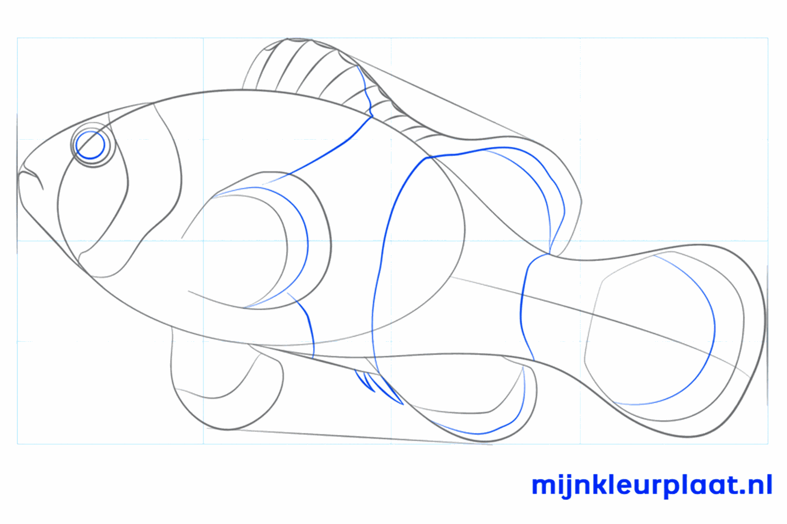 Details zoals lijntjes in de vinnen en een golvende bovenkant.