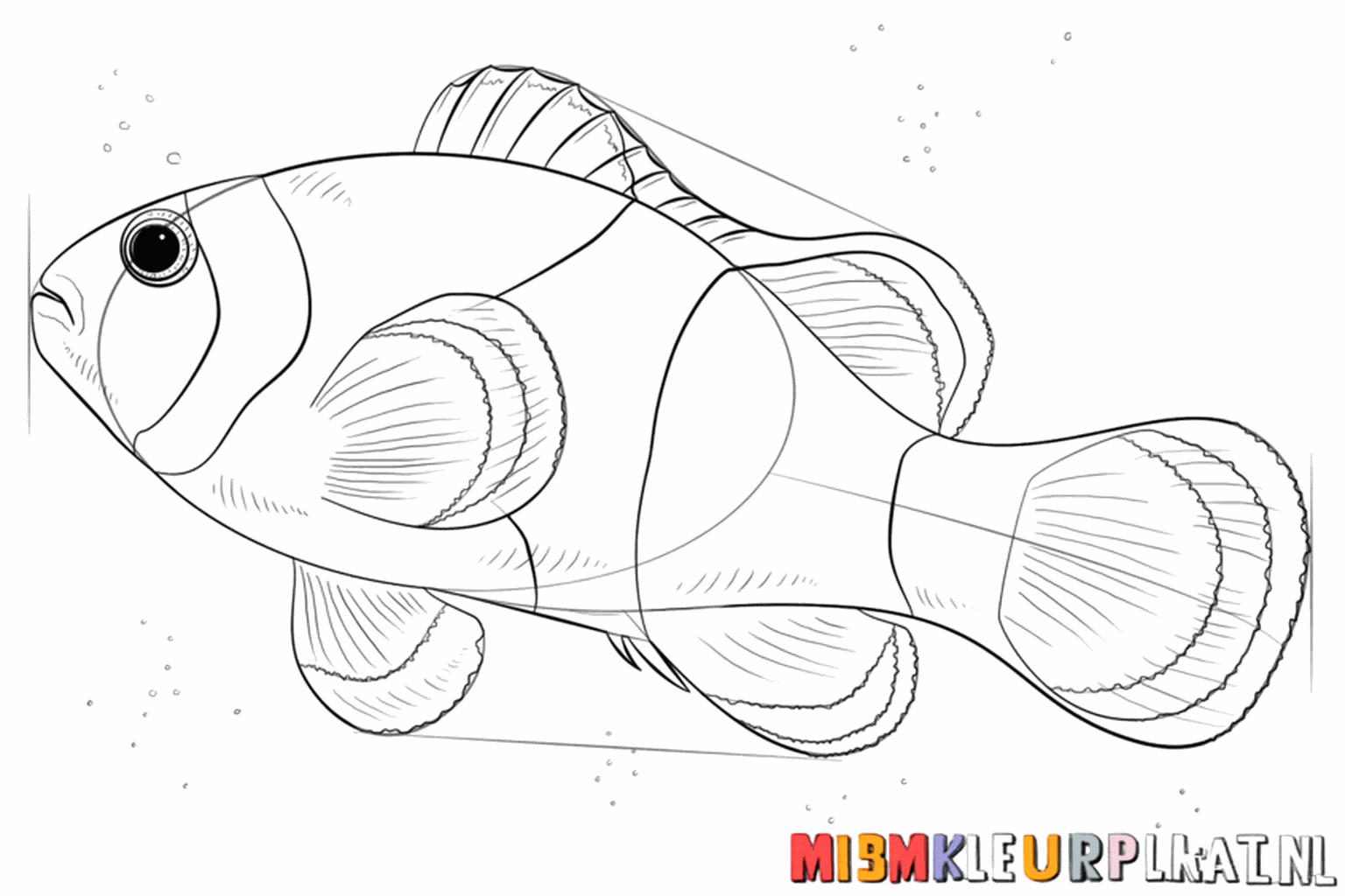 Drie verticale golvende banen over het lichaam van de vis.