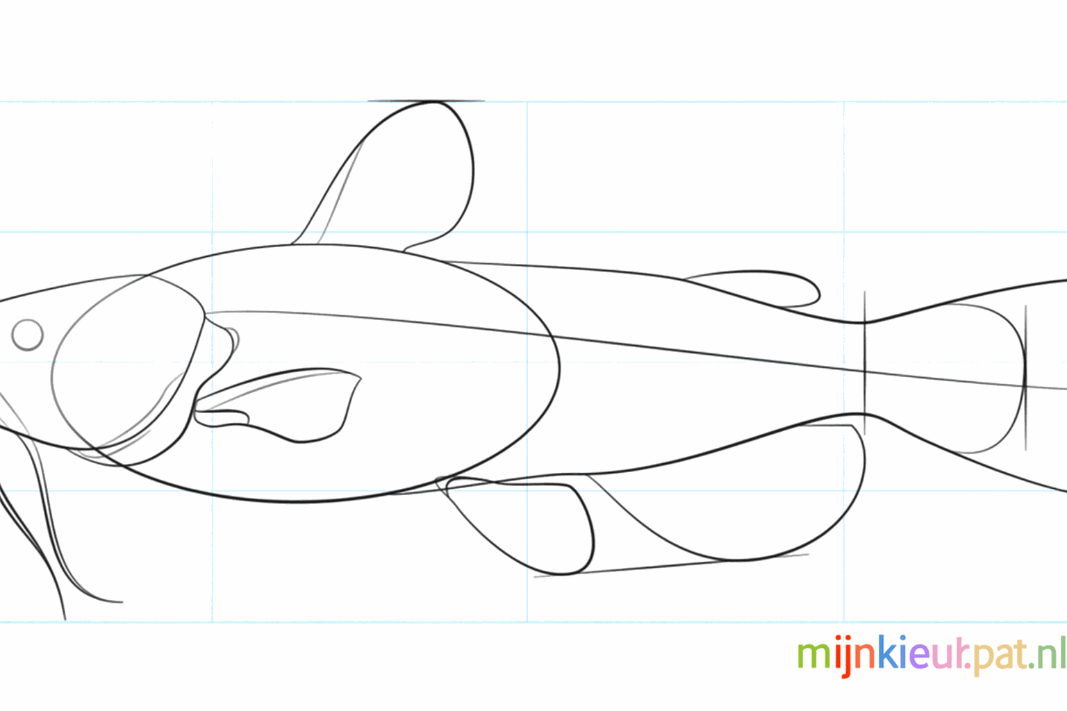 Detail van de kop met een oogje en extra korte snorharen.