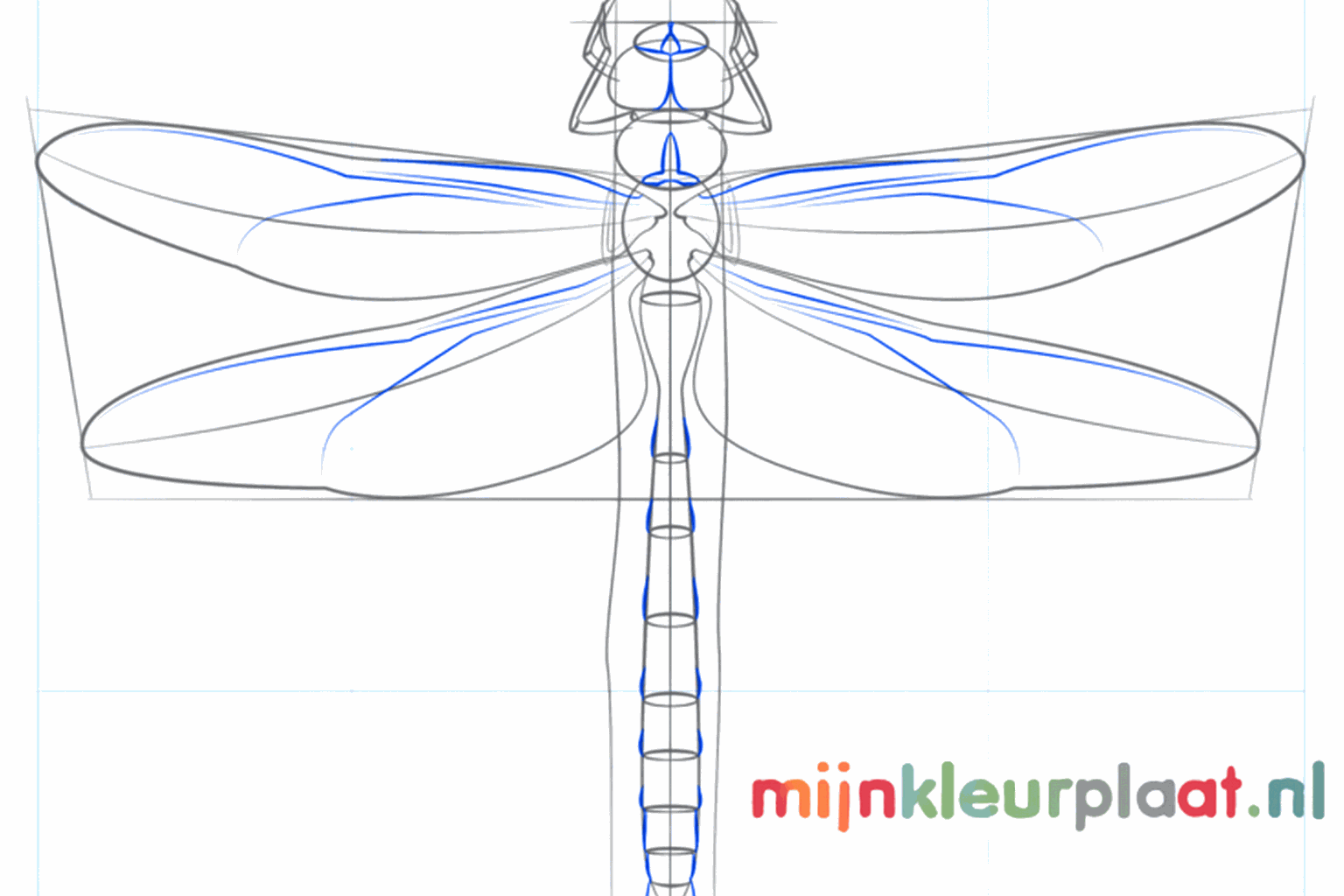 Alle vier de vleugels en de pootjes die de tak vastgrijpen zijn nu getekend.
