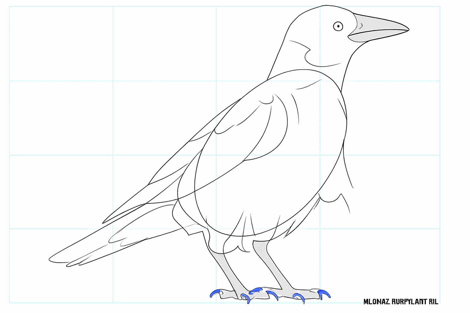 The wing and the wide tail of the crow are now visible.