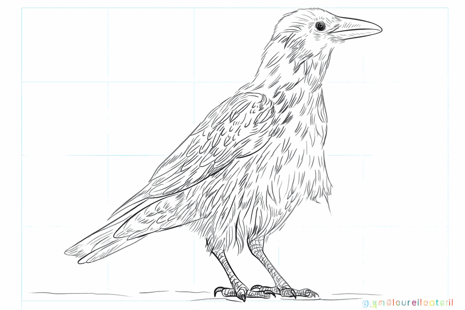 Drawing a cool crow