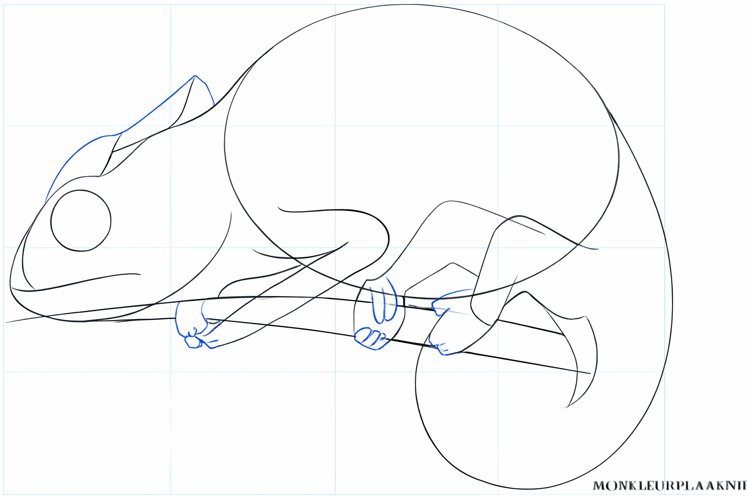 Vormen van de poten en de kaak van de kameleon.