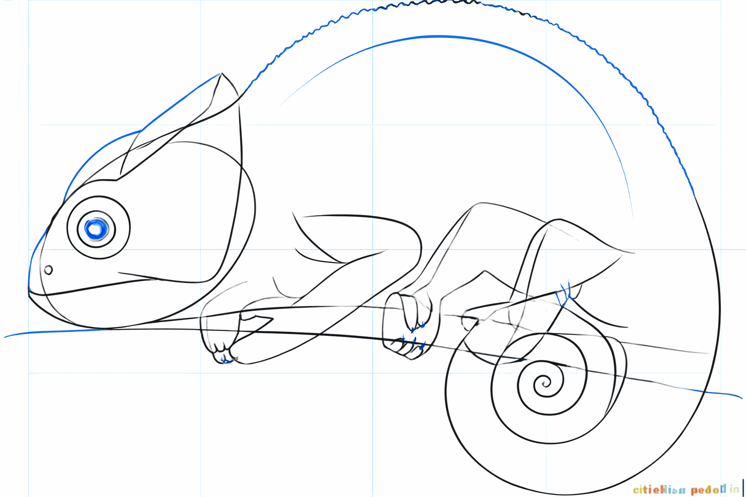 Details van de kop en een vollere staart.