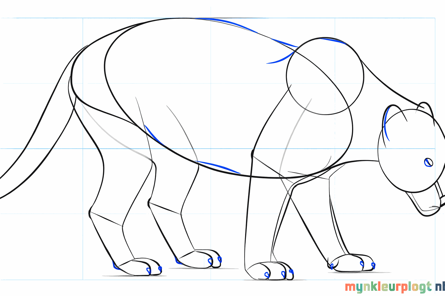Details zoals oren, neus en een dikke staart worden toegevoegd aan de tekening.