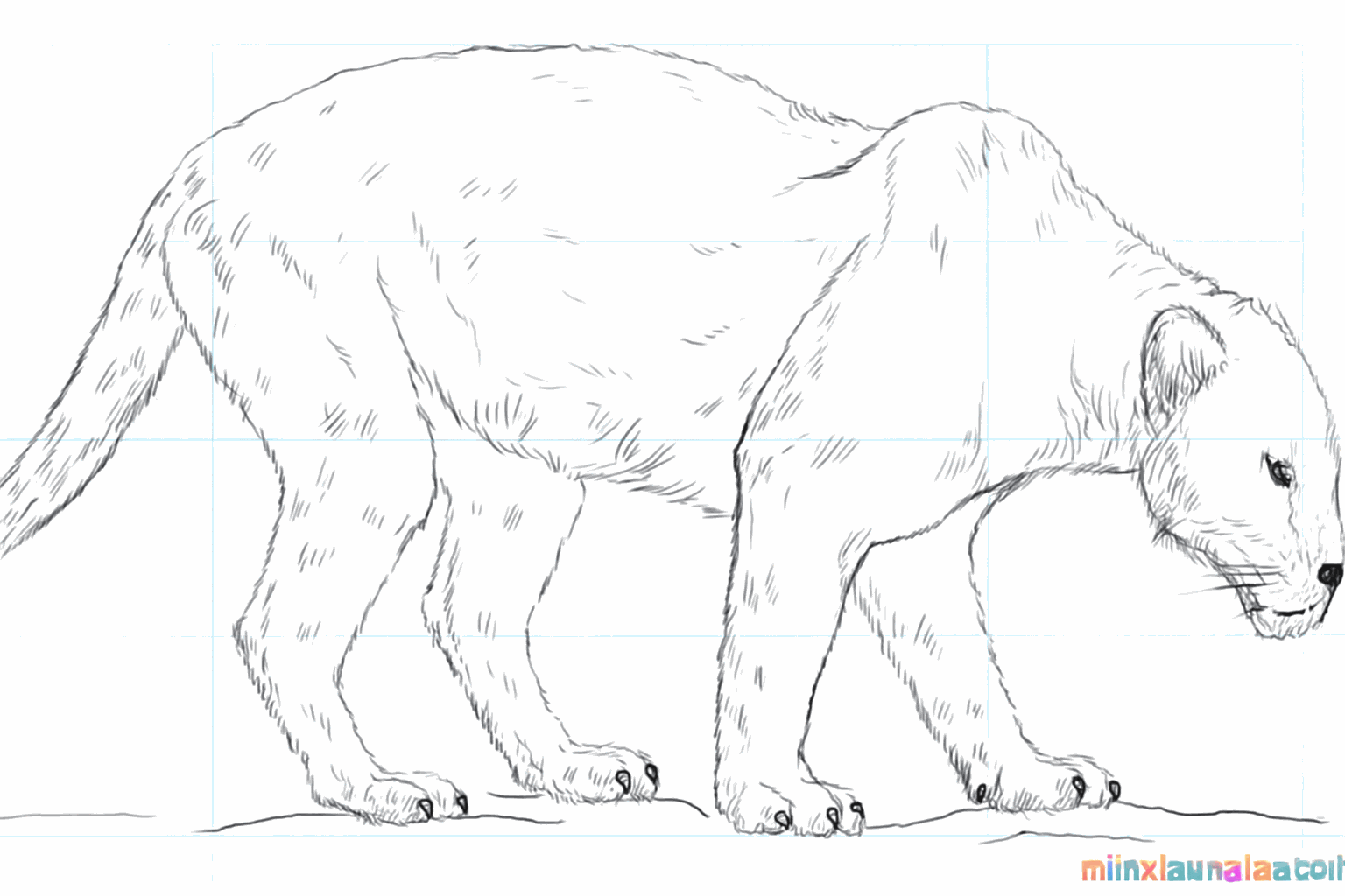 De voltooide zwarte panter, ingekleurd en zonder hulplijnen.