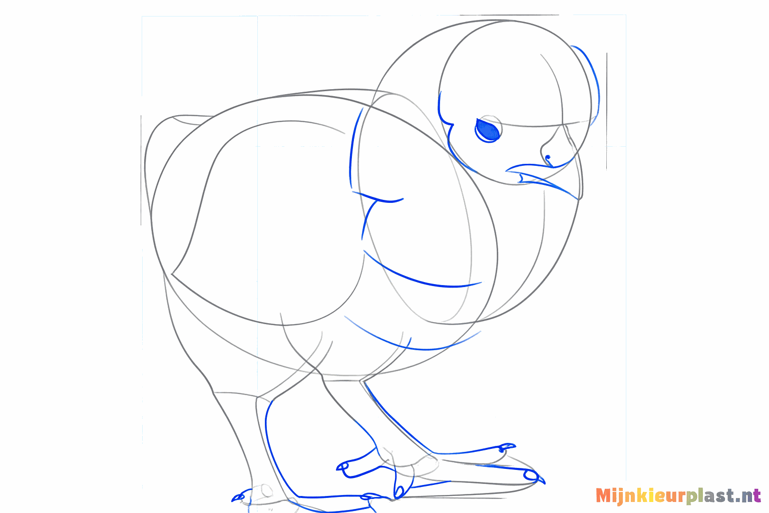 Details such as the tail feathers and the opening of the beak.