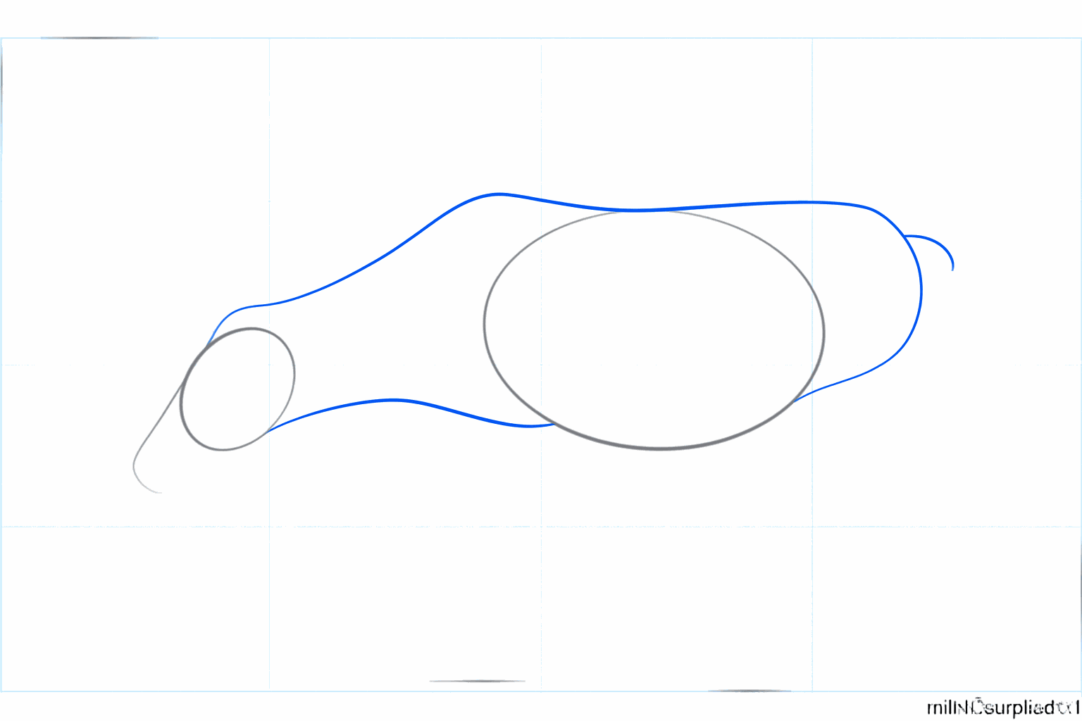Lijnen die de kop en het lichaam verbinden voor de nek.