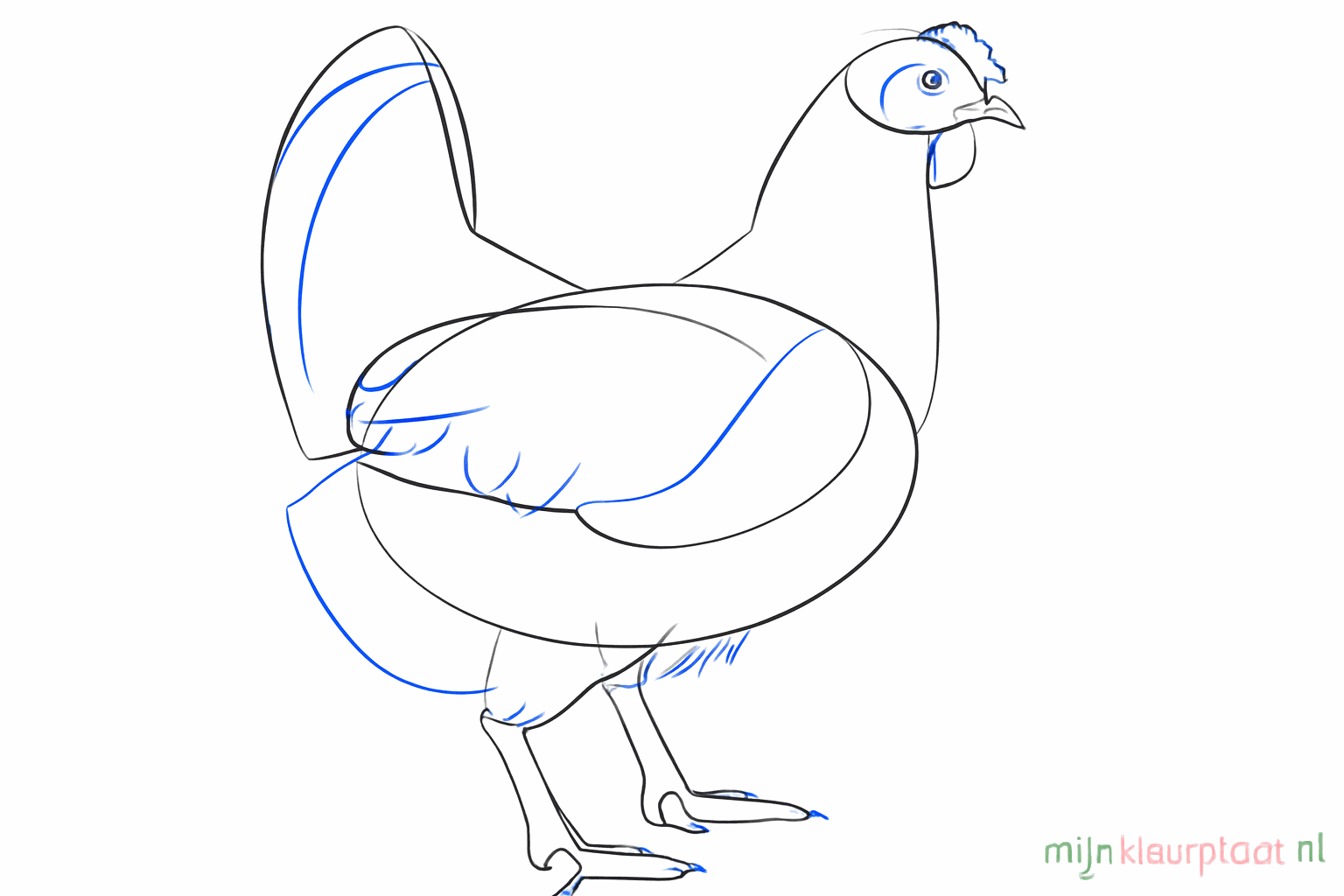 Chicken with an eye, a comb on the head, and three toes on each leg.