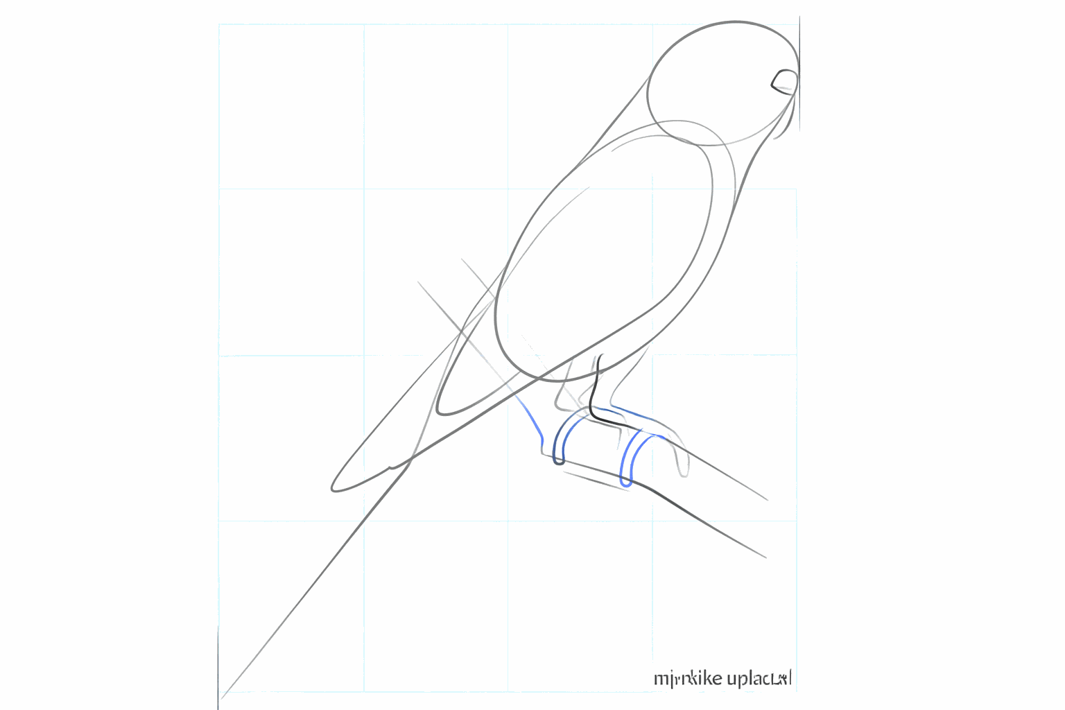 The head of the parakeet with a curved beak and a round eye.