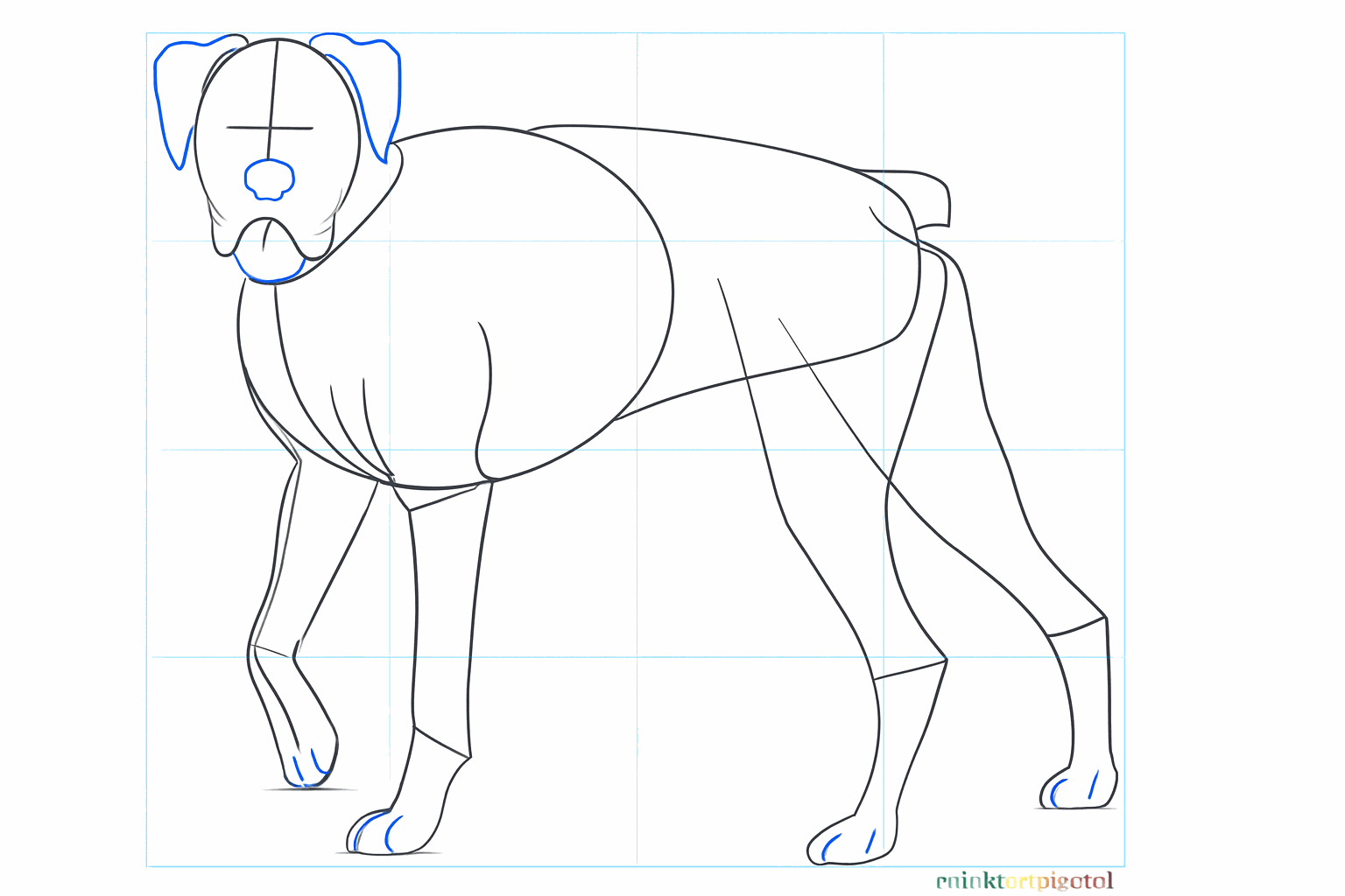 De hond krijgt nu oren, een neus, een staartje en kleine lijntjes voor de tenen.