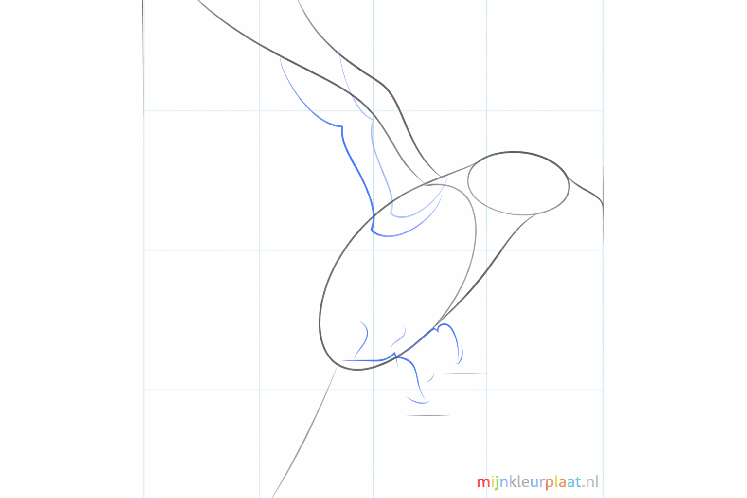 Guidelines for the tail and the wing of the bird.