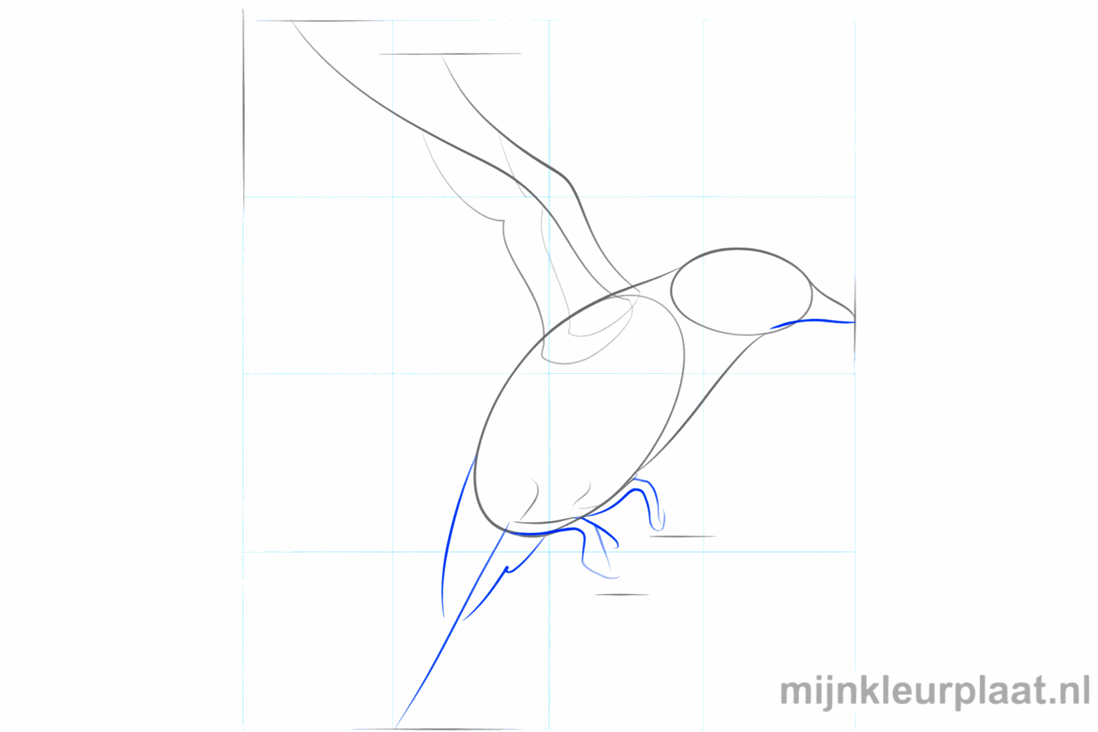 Guidelines for the legs and the edge of the wing.