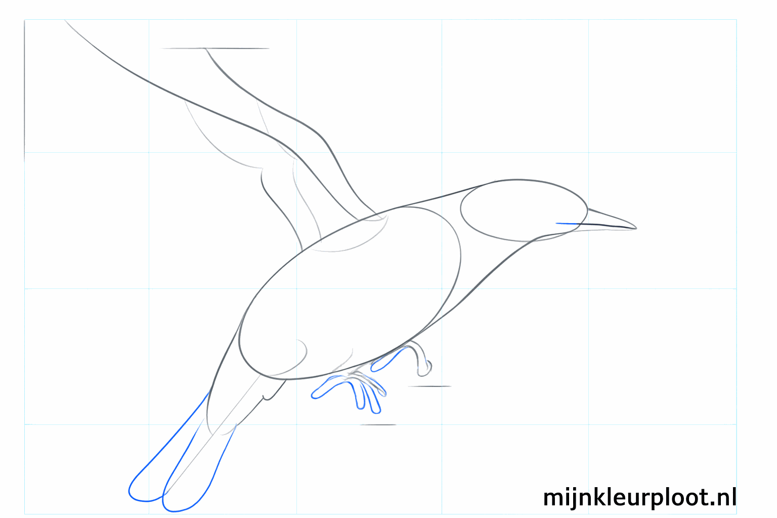 Sketch the beak, the legs, and the first feathers at the tail.