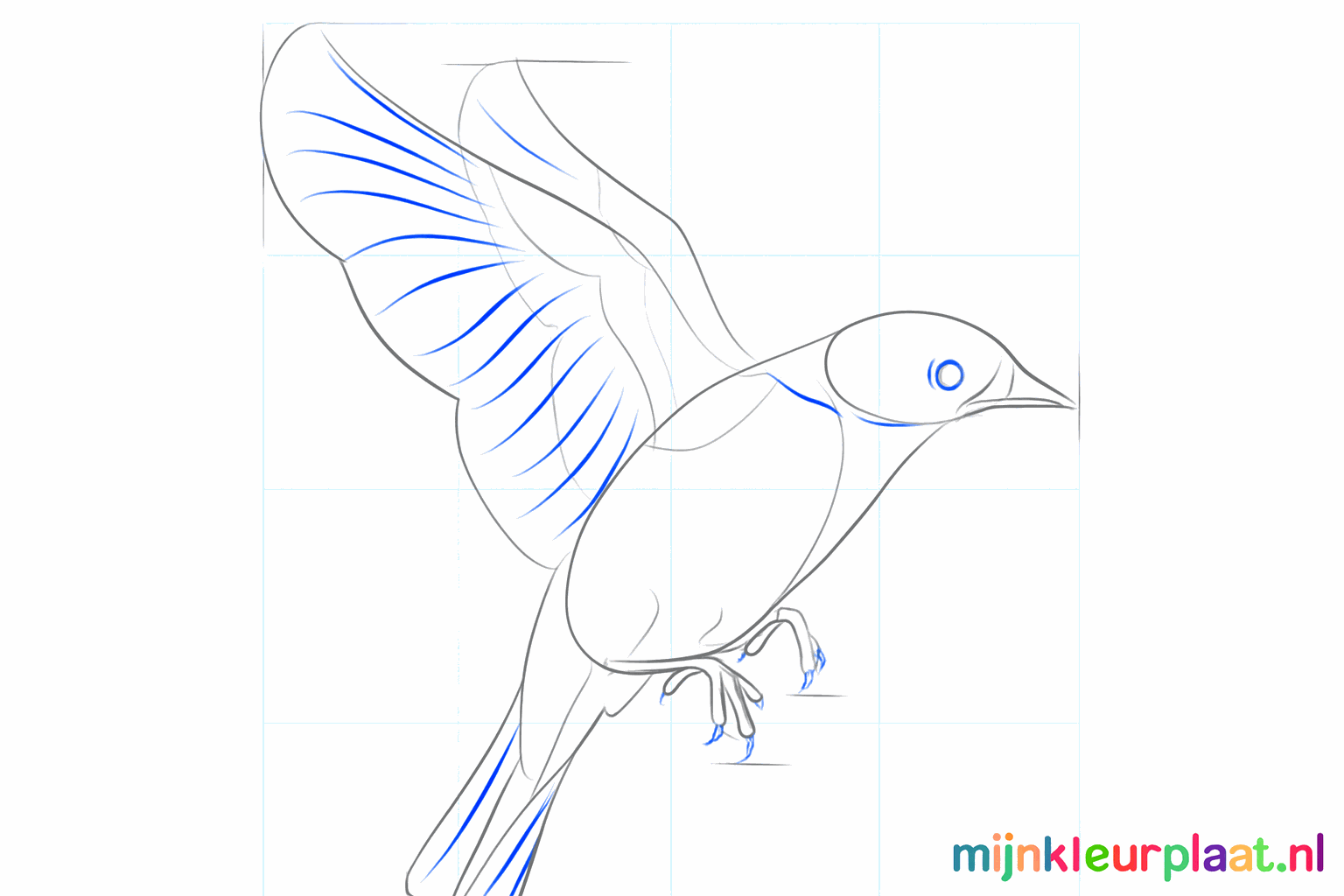 Draw the eye, the beak, and the shape of the wings.