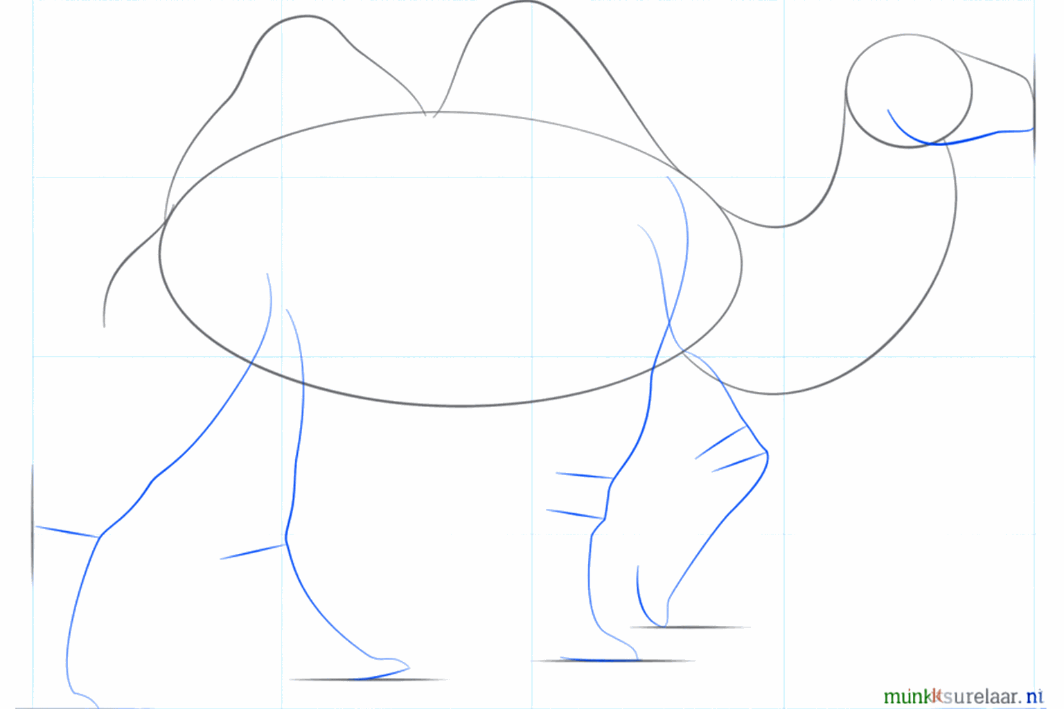 Hulplijnen voor de vier poten en een staartje.