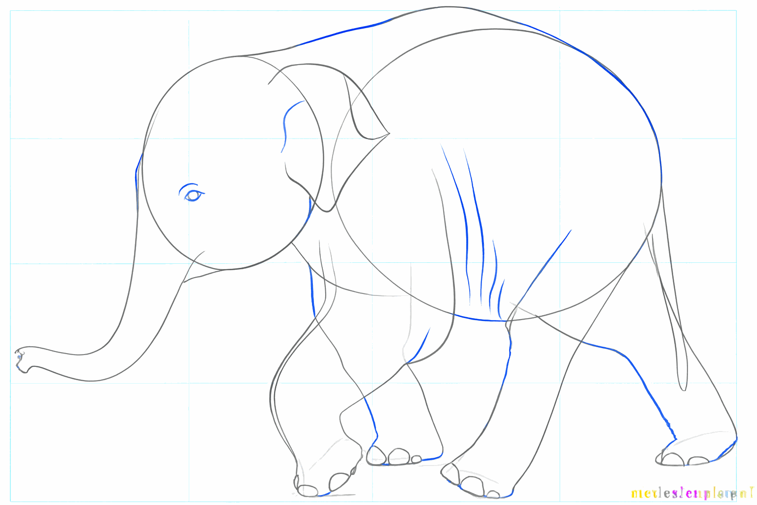 Details zoals teennagels en lijntjes op de slurf toevoegen.