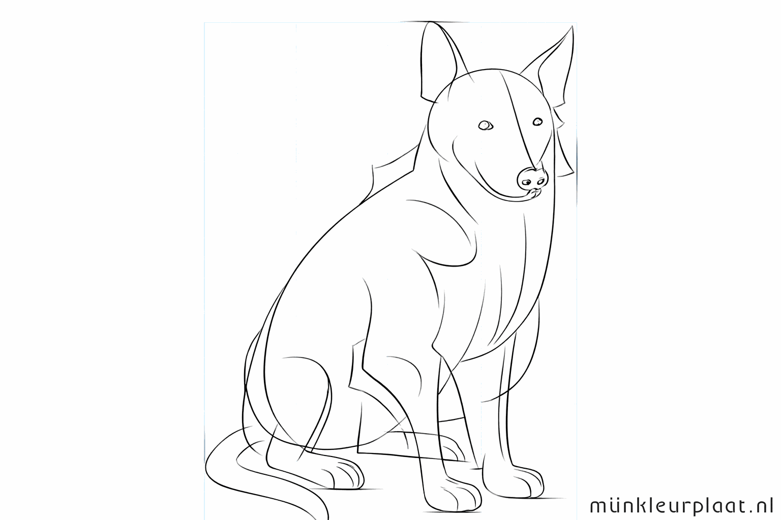 Gezichtje met ogen en neus en extra lijnen voor de buik.