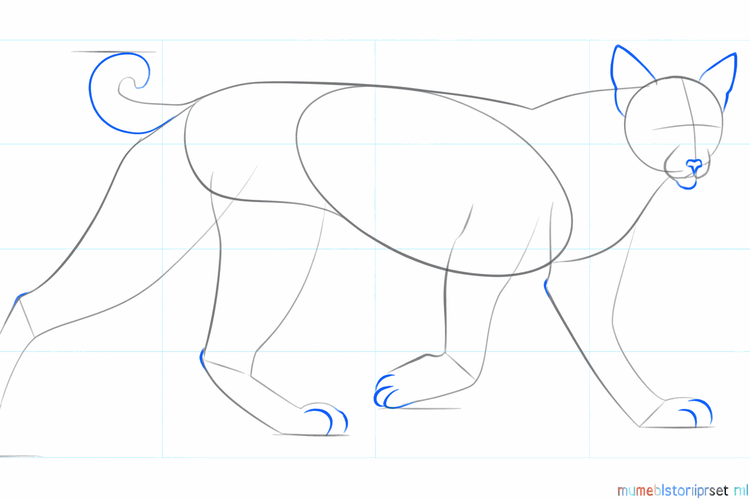 Two pointed ears on the head and a thicker short tail at the back.