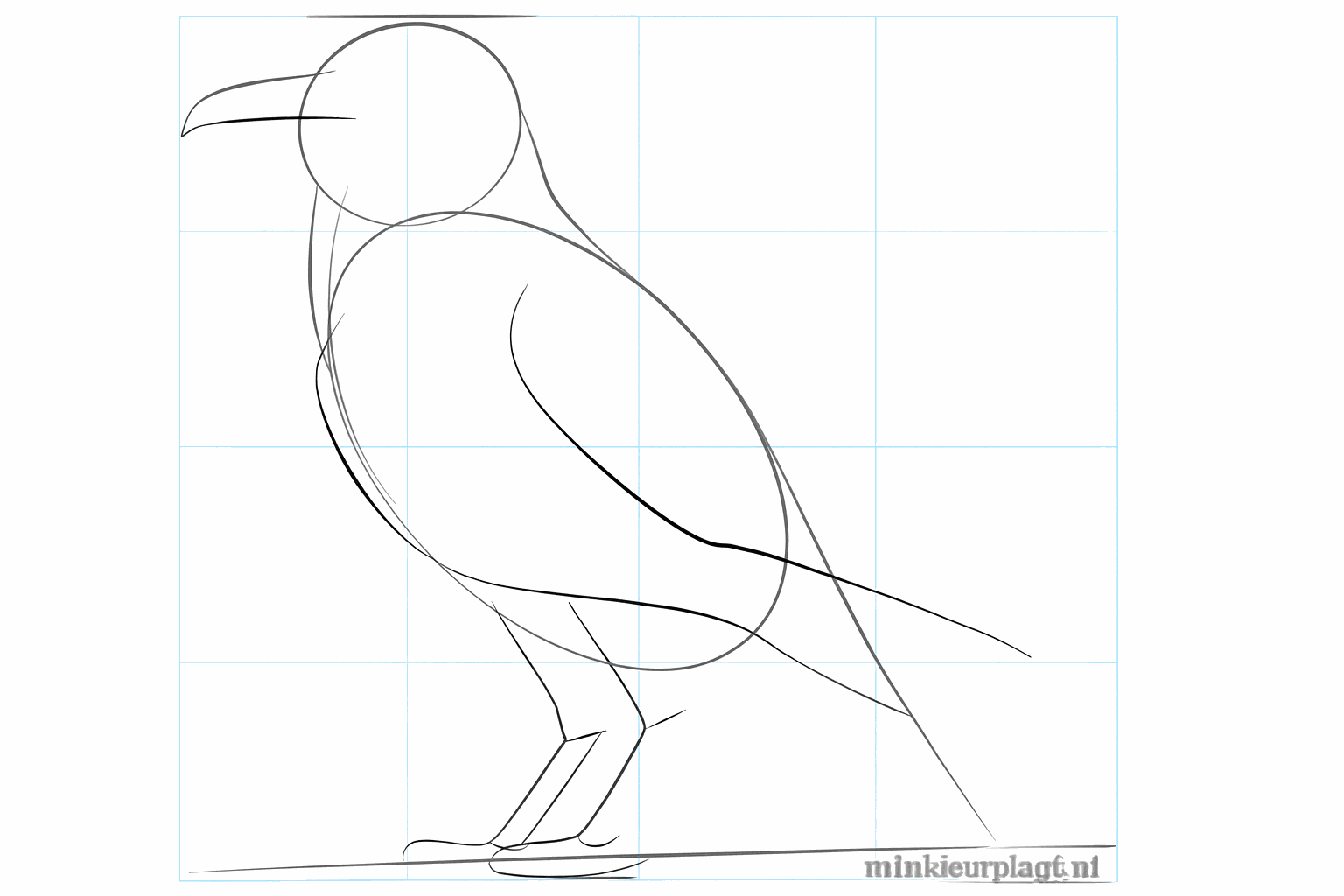 Sketch of the beak on the head and the legs under the body.