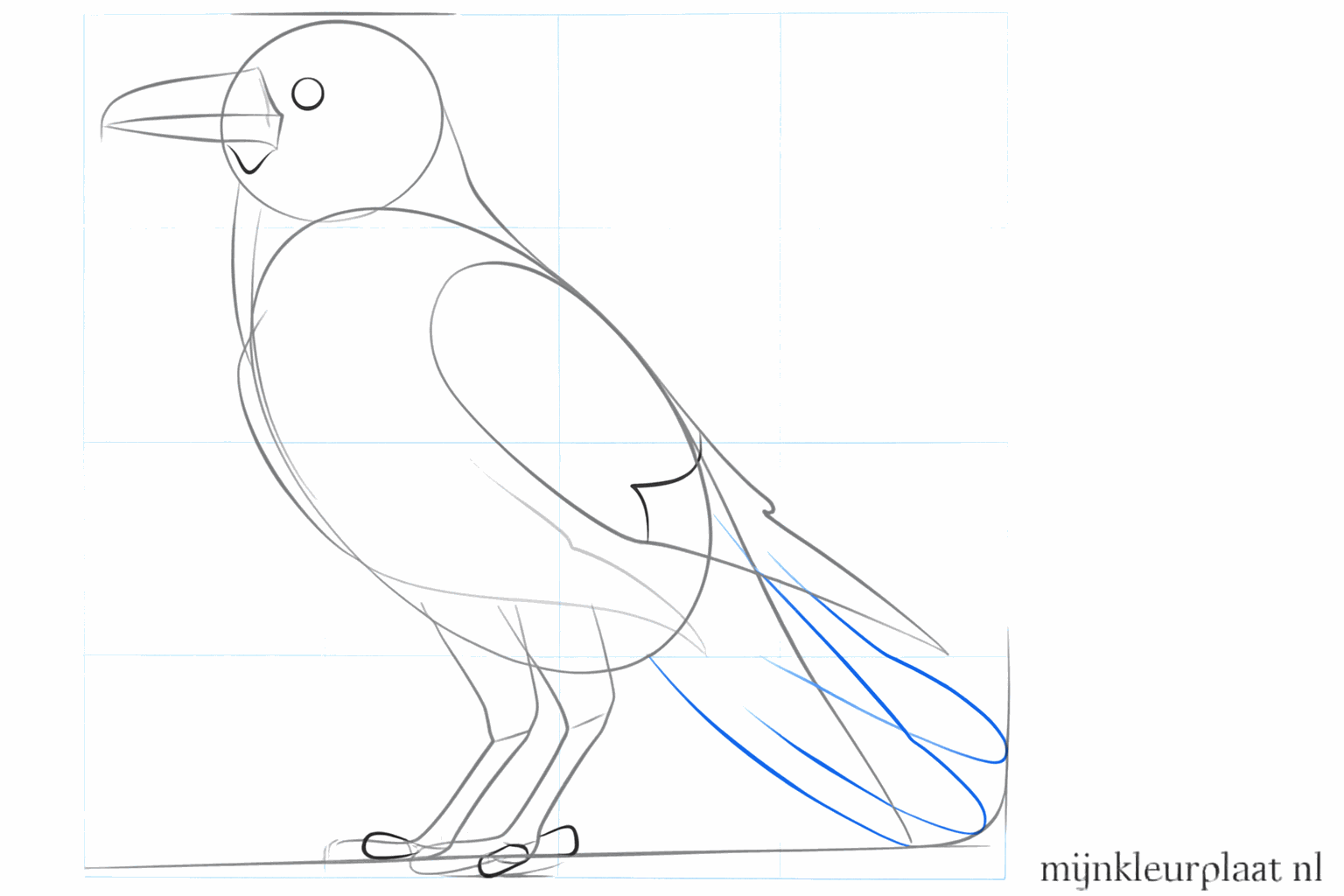 Details of the eye and the sturdy legs of the bird.