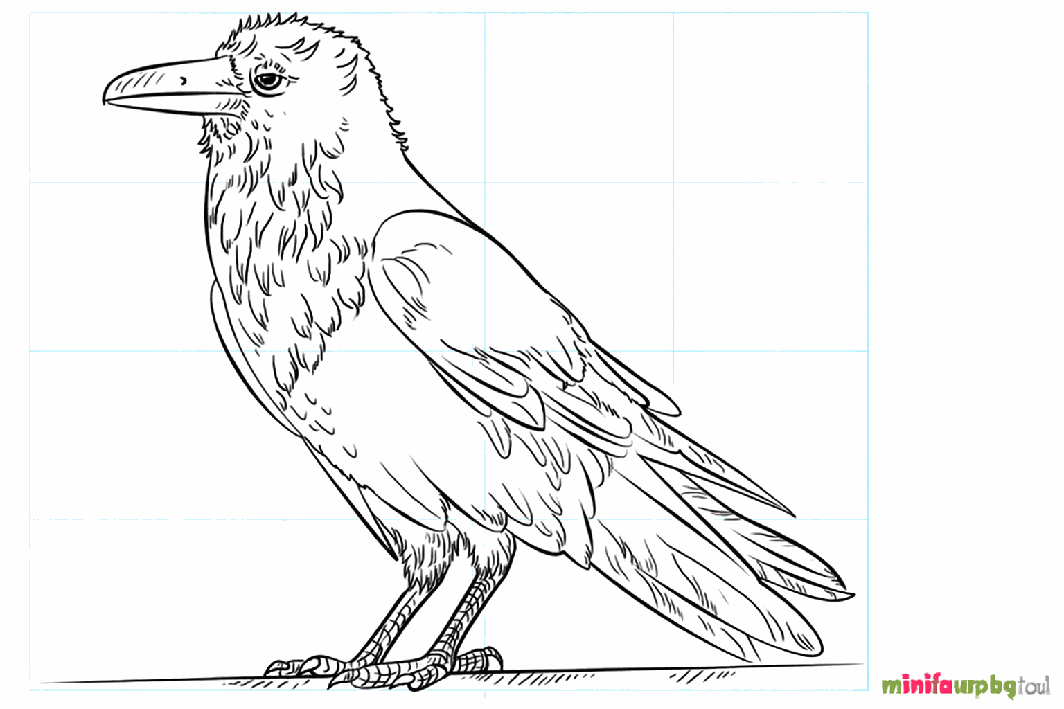Drawing a cool raven