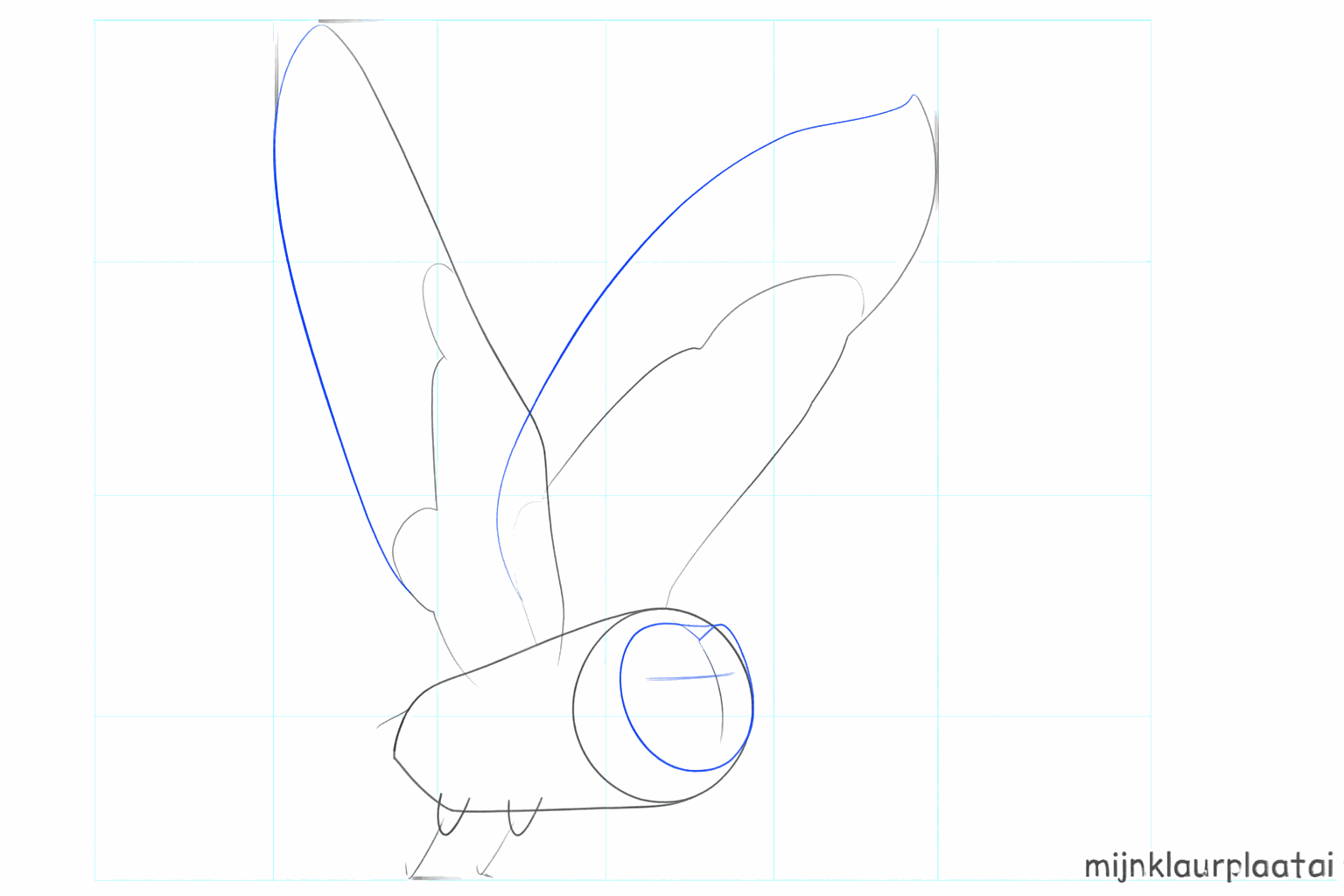 The heart shape of the face and the contours of the owl's upper legs.